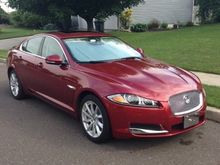 Posing, clean, and happy.