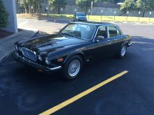 Couple of photos of the beast. 