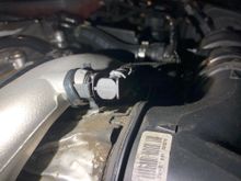 Zip-tied the expansion tank vent hose to the upper pipe.