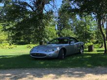 Likes to lay in the grass