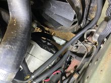 New rubber hoses connected to radiator. 