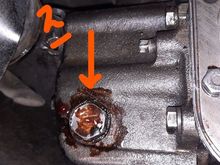 drain plug converter