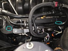 Front and middle tabs of the injector electrical harness