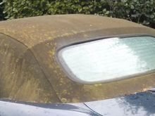 Supposed to be blue!