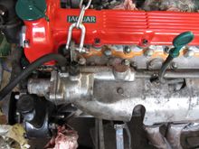 The orange stuff seals the tappet block to head join.