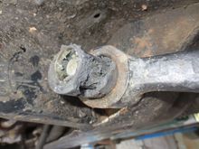 Aftermarket bush after 3 months