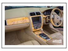 .... and in with the light Elm