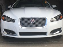 Stock Lower Grilles