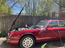 After a well-deserved bath...