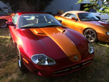 Untitled Album 2018-08-30 14:52:24