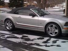 mustang 003