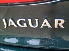 Jaguar Logo