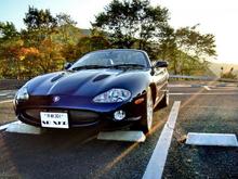 XKR sunbathing at Takao Parkway in Kyoto, Japan
