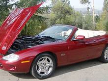 jag hood