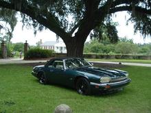 Powered coated 16 inch; Jaguar rims