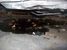 This is what I found when I walked outside to work on my Jag.