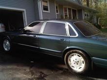 20% tints  (2)