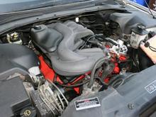 IMG 0495