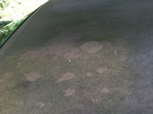 Gross ragtop3