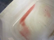 My PM Pictures