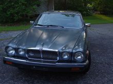 Under the trees at our house.