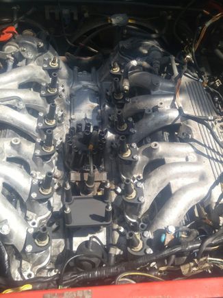Like on a Porsche 928,,, a top end refresh! Much much needed,,, and cheap. Later, I replaced the plugs and individual fuel injectors... FYI, leave all old plugs in so alll the crap doesn't wash into the cylinders thru the plug holes... Takes LOTS of water.