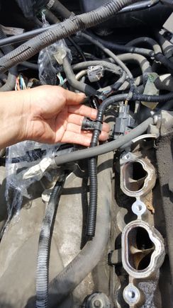 Its a weird fuel line, because it looks like a wiring sleeve.