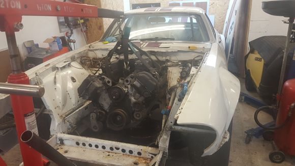 Sitting on modified mounts