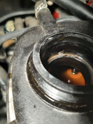 Not a great picture, but you can see the standpipe that houses the floating magnetic sensor.