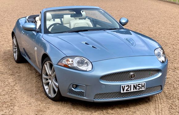 Someone left the menage gate open for this photo opportunity. 