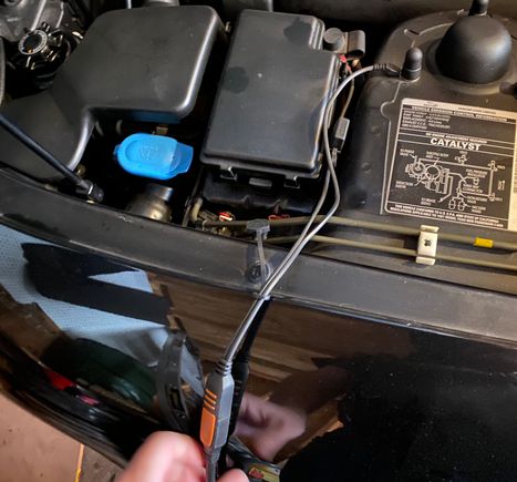 + on left. - on right attached to strut mount bolt