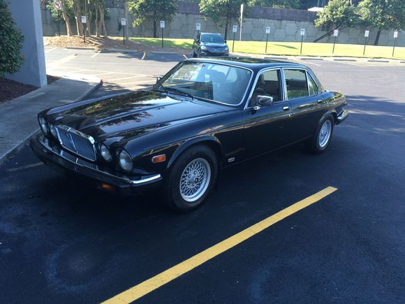 Couple of photos of the beast. 