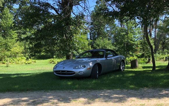 Likes to lay in the grass