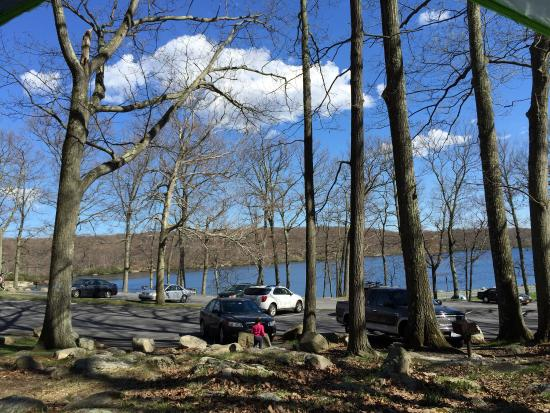 Lake Tiorati Car Park and Pick-nick area.