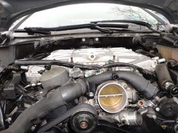 The valley hose running from the back of the engine along the left side of the left side intake manifold to the front, S-curves to the right side of the throttle body.