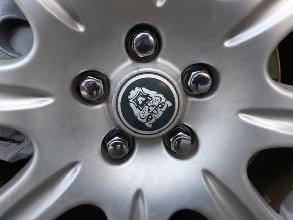 Only me
Our 2005 Jaguar XJ8L had a seized lug nut that had to be cut off, so I put a new set of 20 on.  Much higher quality lug nuts.
