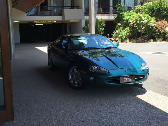 The new Cat, cooling in the shade.