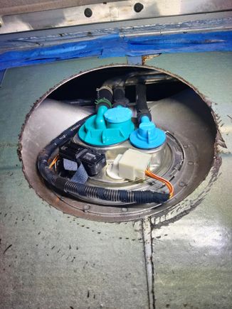 I don't regret doing it now!