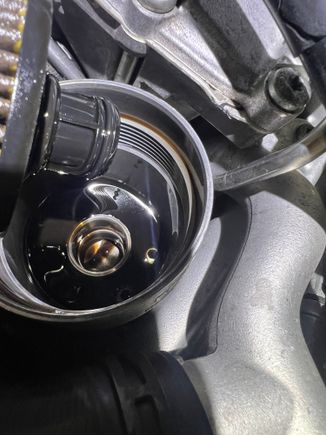 Oil appears normal and fine to me 