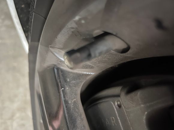 Stems feel like rubber