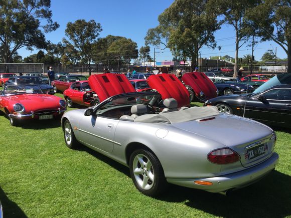 This is a rather splendid view of those three red E type open bonnets (hoods) !