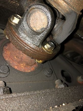 Curious if inpurt seal is my problem, why the entire input shaft isnt wet..especially the rusty section going aft from driveshaft connection?