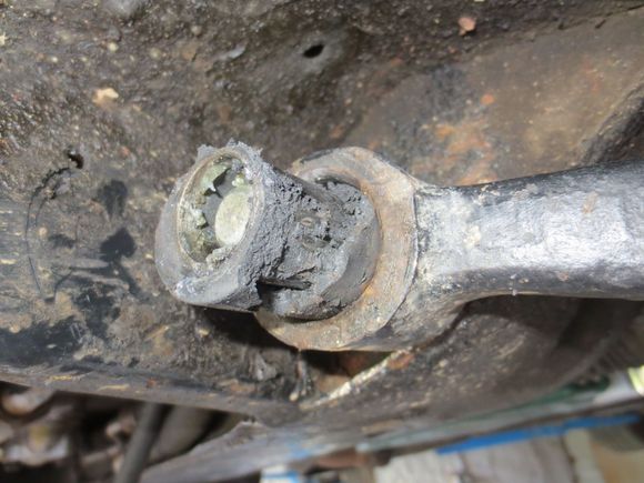Aftermarket bush after 3 months
