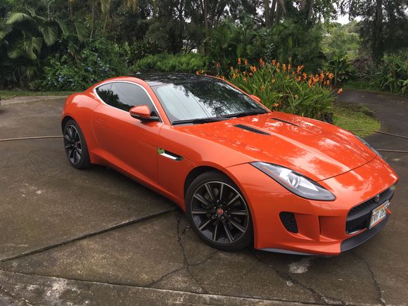 Only F Type in town - for now