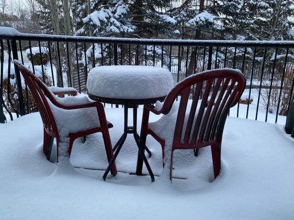 Last week we could see the table top and the deck!