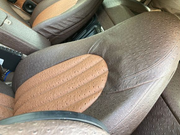 Ostrich lined interior.