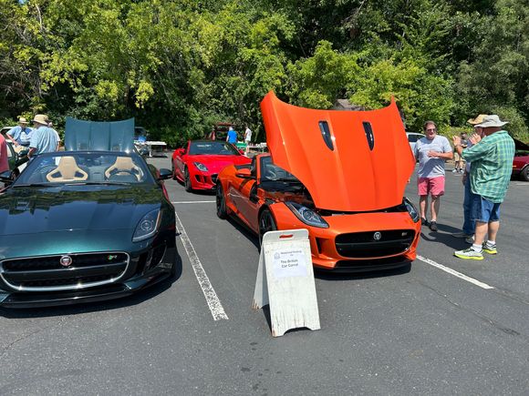 Some friendly Jaguar enthusiasts at an event in Milford, MI this weekend.