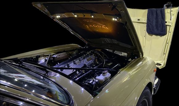 Lighted Fiberglass sound deadening backed Hood Liner