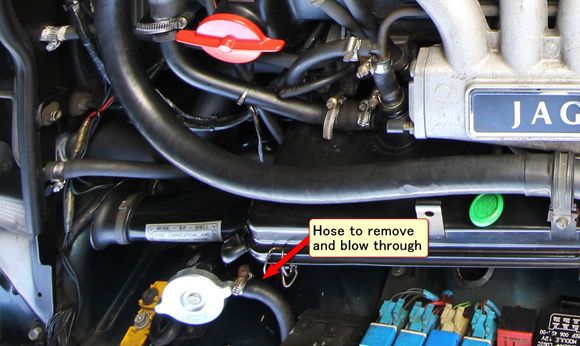 Header tank hose location