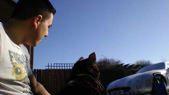 Cat helping me snowfoam the Cat